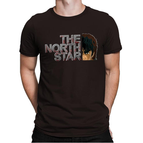 The North Star - Mens Premium T-Shirts RIPT Apparel Small / Dark Chocolate