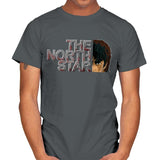 The North Star - Mens T-Shirts RIPT Apparel Small / Charcoal