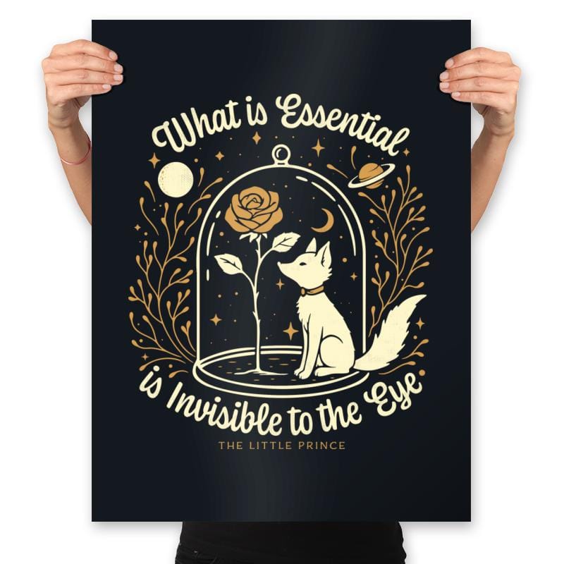 The Rose and the Fox - Prints Posters RIPT Apparel 18x24 / Black