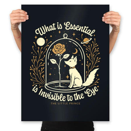 The Rose and the Fox - Prints Posters RIPT Apparel 18x24 / Black