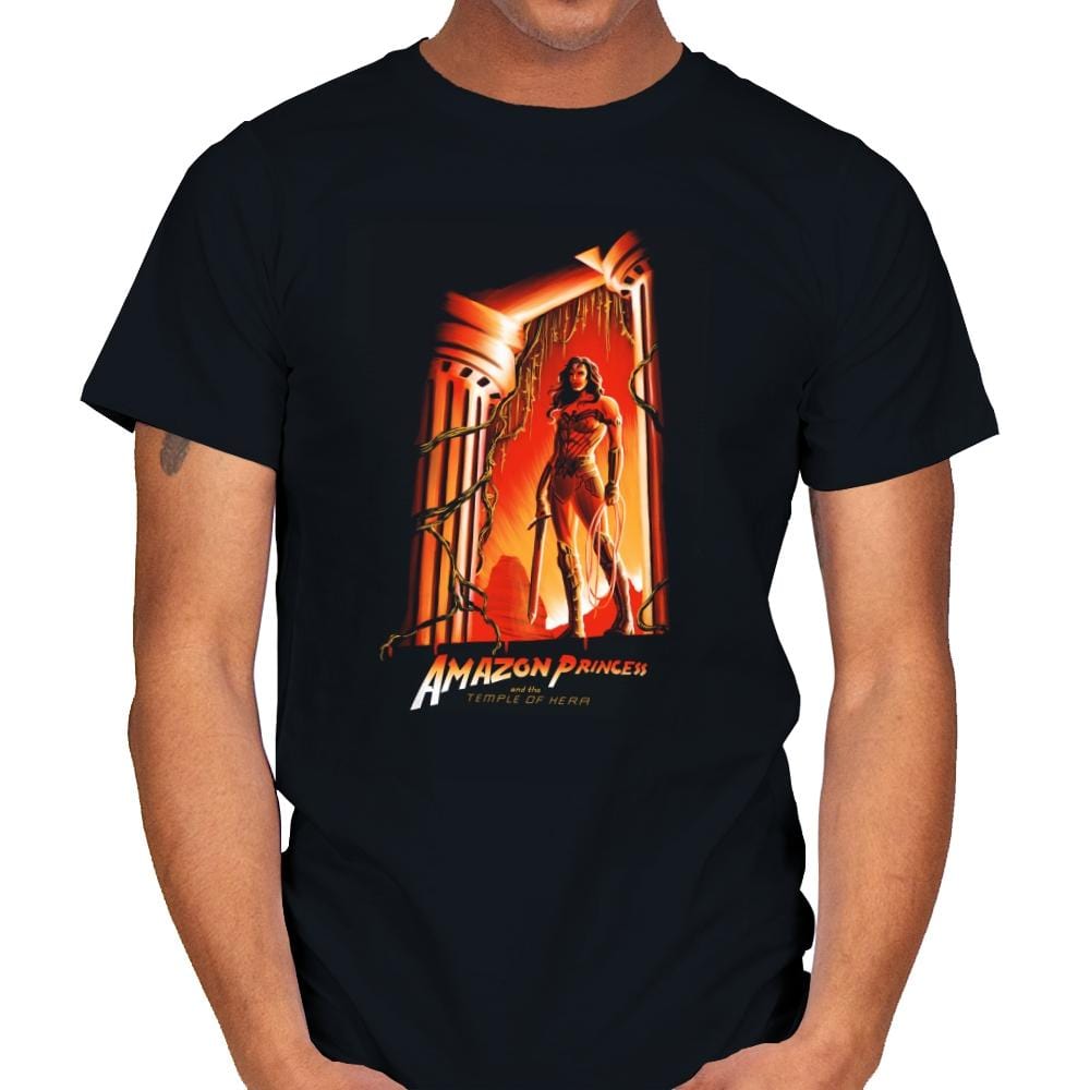 The Temple of Herra Exclusive - Wonderful Justice - Mens T-Shirts RIPT Apparel Small / Black