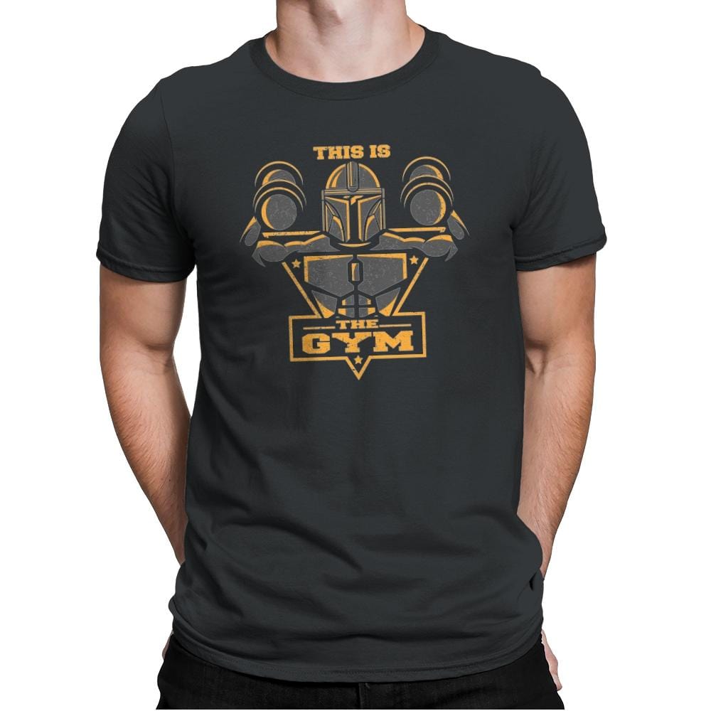 This is the Gym - Mens Premium T-Shirts RIPT Apparel Small / Heavy Metal