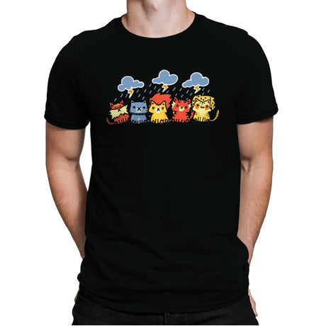 Thunder Thunder - Mens Premium T-Shirts RIPT Apparel Small / Black