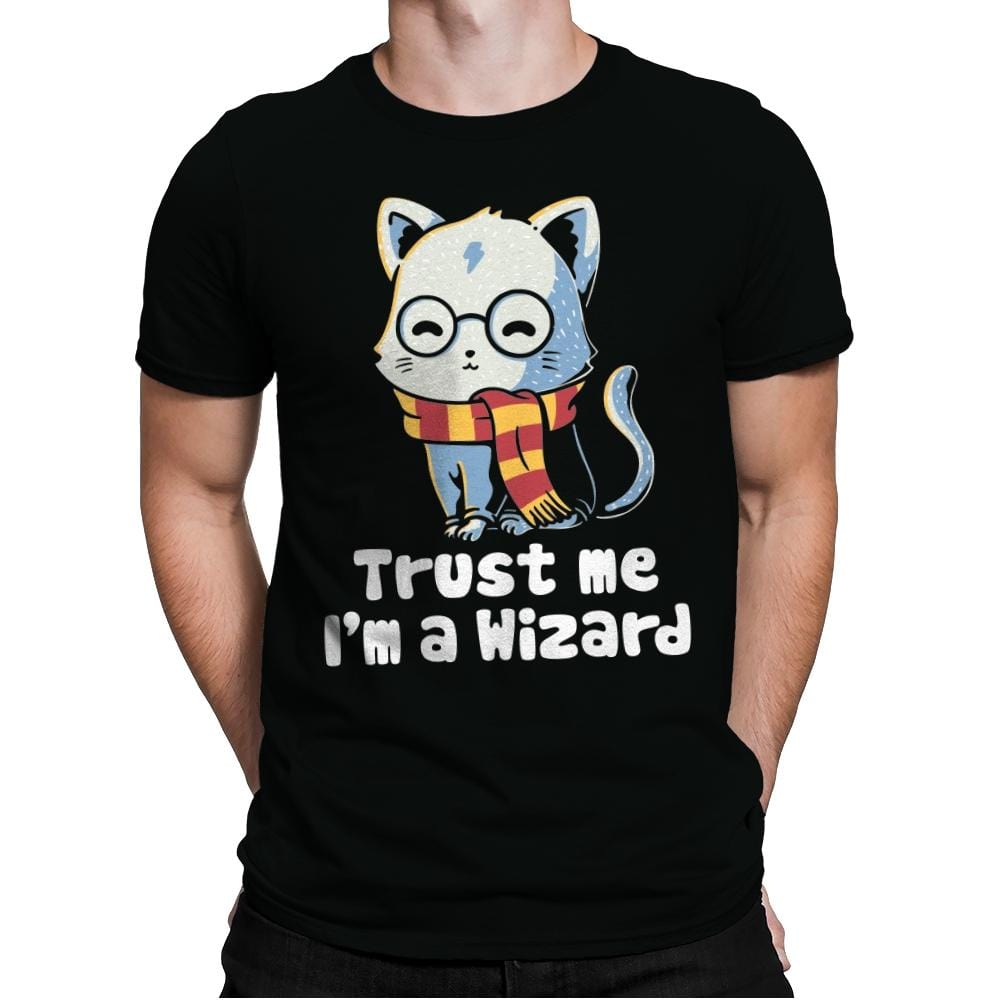 Trust me I'm a wizard - Mens Premium T-Shirts RIPT Apparel Small / Black