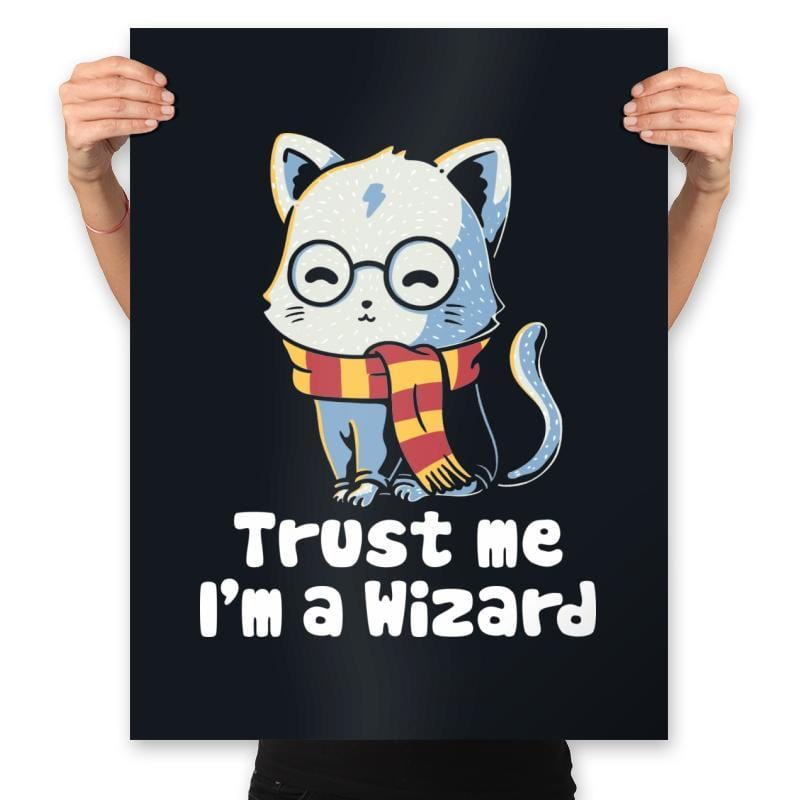 Trust me I'm a wizard - Prints Posters RIPT Apparel 18x24 / Black