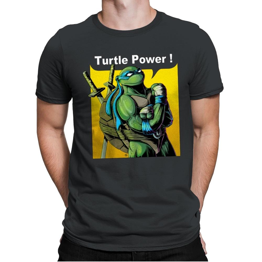 TURTLE POWER! - Mens Premium T-Shirts RIPT Apparel Small / Heavy Metal
