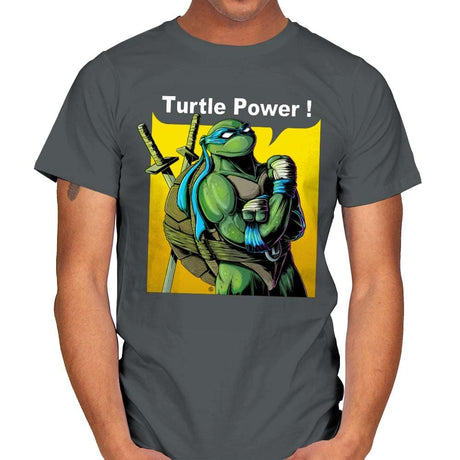TURTLE POWER! - Mens T-Shirts RIPT Apparel Small / Charcoal