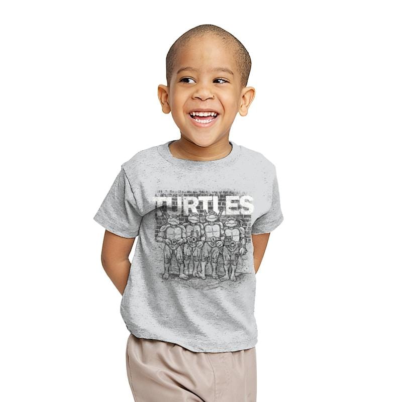 TURTLES - Youth T-Shirts RIPT Apparel X-small / Sport grey