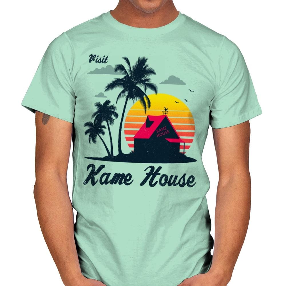 Visit Kame-House - Mens T-Shirts RIPT Apparel Small / Mint Green