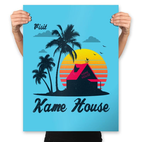 Visit Kame-House - Prints Posters RIPT Apparel 18x24 / Aqua