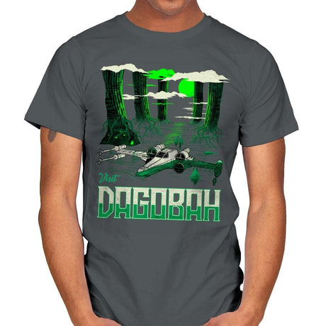 Visit The Swamp - Mens T-Shirts RIPT Apparel Small / Charcoal