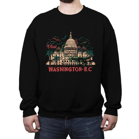 Washington B.C. - Crew Neck Sweatshirt Crew Neck Sweatshirt RIPT Apparel