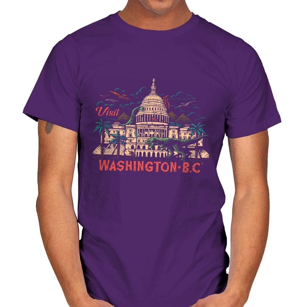 Washington B.C. - Mens T-Shirts RIPT Apparel Small / Purple