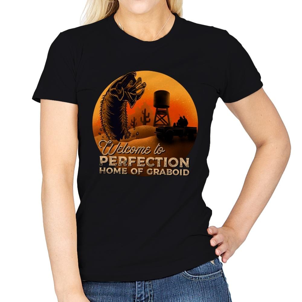 Welcome Home Perfection - Womens T-Shirts RIPT Apparel Small / Black