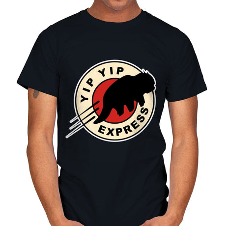 Yip Yip Express - Mens T-Shirts RIPT Apparel Small / Black