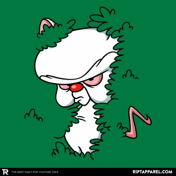 Mouse in the Bush